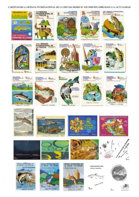 Clasificaciones en la XLVI Semana Internacional